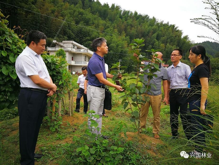 分水村新领导引领村庄迈向辉煌未来