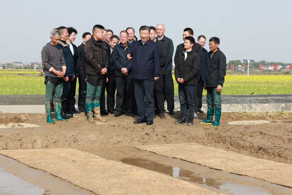 吴纳村民委员会交通新闻，提升乡村交通状况助力地方经济发展