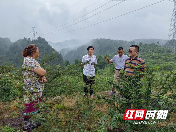 夏果村新项目启动，乡村振兴新篇章