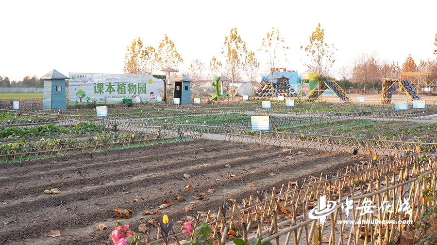 荣光农场交通新篇章，迈向现代化交通发展之路